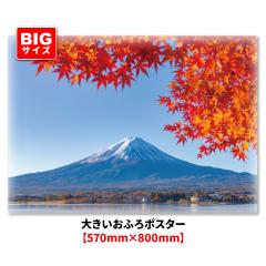 �傫�������C�|�X�^�[ �H�̕x�m�R �}�O�l�b�g�V�[�g�� ��z�֑�������