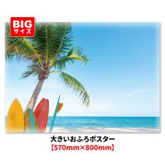 �傫�������C�|�X�^�[ ���]�[�g��̓� �}�O�l�b�g�V�[�g�� ��z�֑�������