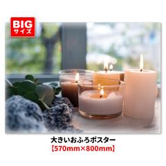 �傫�������C�|�X�^�[ �L�����h�� �}�O�l�b�g�V�[�g�� ��z�֑�������