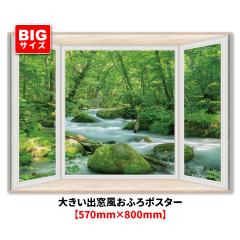 �傫���o���������C�|�X�^�[ �������k�� �}�O�l�b�g�V�[�g�� ��z�֑�������