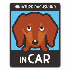 ԃ}OlbgXebJ[ 䂤pPbgΉ210~`~j`A_bNXth X[X IׂѐFS3 MINIATURE DACHSHUND IN CAR hb