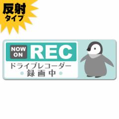 ˎԃ}OlbgXebJ[ 䂤pPbgΉ210~`hCuR[_[^撆 ǂyM   NOW ON REC  X^