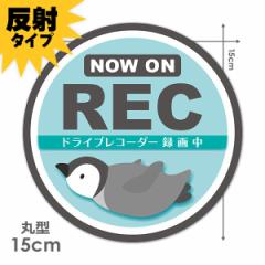 ˎԃ}OlbgXebJ[ 䂤pPbgΉ210~`hCuR[_[^撆 ǂyM   NOW ON REC  ی^15cm