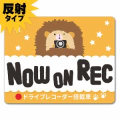 ˎԃ}OlbgXebJ[ 䂤pPbgΉ210~`hCuR[_[ڎ nlY~ ^  NOW ON REC  