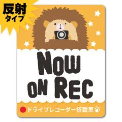 ˎԃ}OlbgXebJ[ 䂤pPbgΉ210~`hCuR[_[ڎ nlY~ c^  NOW ON REC  