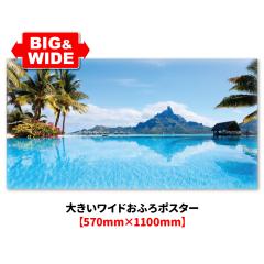 �傫�����C�h�����C�|�X�^�[ �{���{���� �}�O�l�b�g�V�[�g�� ��z�֑�������