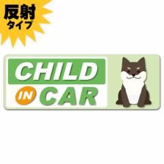 ˎԃ}OlbgXebJ[ 䂤pPbgΉ210~`荕 Č ΐF  CHILD IN CAR  X^ 