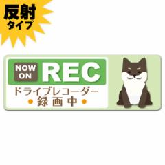 ˎԃ}OlbgXebJ[ 䂤pPbgΉ210~`hCuR[_[^撆 荕 Č ΐF  NOW ON REC  X^