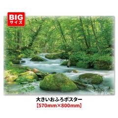 �傫�������C�|�X�^�[ �������k�� �}�O�l�b�g�V�[�g�� ��z�֌��著������