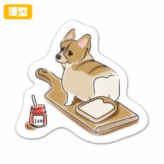 ^_CJbg}OlbgXebJ[ 䂤pPbgΉ210~` White Bread Corgi p