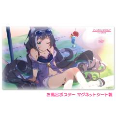 �y3�����{�ȍ~�����\��z�v�����Z�X�R�l�N�g�IRe:Dive �����C�|�X�^�[ �}�O�l�b�g�V�[�g�� �A�j���V�[���@�L�����i�T�}�[�j ��z�֌���