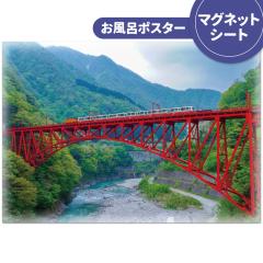 �����C�|�X�^�[ �������J �}�O�l�b�g�V�[�g�� ��z�֌���