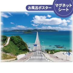 �����C�|�X�^�[ �p���勴 �}�O�l�b�g�V�[�g�� ��z�֌���