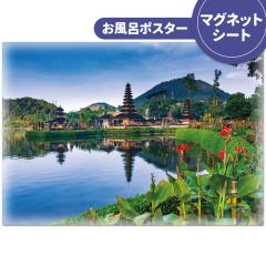 �����C�|�X�^�[ �o���� �}�O�l�b�g�V�[�g�� ��z�֌���