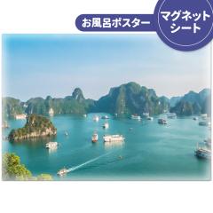 C|X^[ np }OlbgV[g z֌