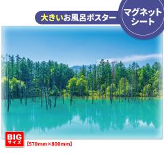 �傫�������C�|�X�^�[ ���l�̐��r �}�O�l�b�g�V�[�g�� ��z�֌��著������