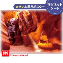 �傫�������C�|�X�^�[ �A���e���[�v�L���j�I�� �}�O�l�b�g�V�[�g�� ��z�֌��著������