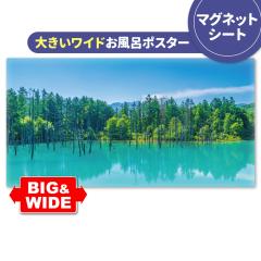 �傫�����C�h�����C�|�X�^�[ ���l�̐��r �}�O�l�b�g�V�[�g�� ��z�֑�������