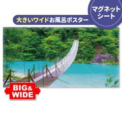 �傫�����C�h�����C�|�X�^�[ ������ �}�O�l�b�g�V�[�g�� ��z�֑�������