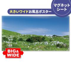 �傫�����C�h�����C�|�X�^�[ �H�g�� �}�O�l�b�g�V�[�g�� ��z�֑�������