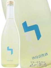 ���{��  �� �Ђ��� HIZIRIZM �R�c�� ��ꊈ���� 720ml  �Q�n�� ���𑢊������ �v�①  ���i�ԍ� 8626