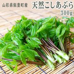 �\��̔� 4�����{�`5����{���\�񏇎����� �R�`���іL���Y �V�R�R�� �������Ԃ� 300g(150g�~2) ��������