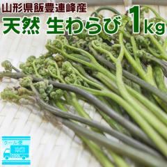 �\��̔� �T����{�`�U�����{����������  ���� (��) 1kg �V�R �R�`���Y �іL�A�� ���̂� �R�� �Y�n���� �������� �N�[����