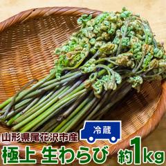 ���� 1kg �R�`�� ���ԑ�s�Y �ɏ� �� �R�� �����r �n �������� �N�[���� �Y�n���� [���ԑ���тP�L��]