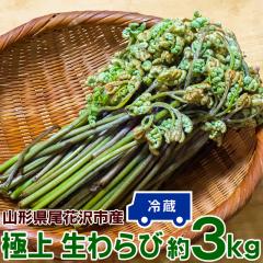 ���� 3kg (1kg�~3��) �R�`�� ���ԑ�s�Y �ɏ� �� �R�� �����r �n �������� �N�[���� �Y�n���� [���ԑ���тR�L��]