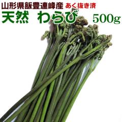 �\��̔� �T����{�`�U�����{���������� ���� �����ʂ��� 1kg �V�R �R�`���Y �іL�A�� ���̂� �R�� �Y�n���� �������� �①��