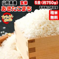 米 お米 あきたこまち 750g (5合) 玄米 令和6年度産 山形県産 ポイント消化 送料無料 メール便 YP