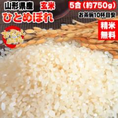 米 お米 ひとめぼれ 750g (5合) 玄米 令和6年度産 山形県産 ポイント消化 送料無料 メール便 YP