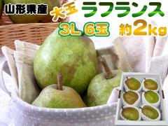 ���3L�E6�ʁE��2kg �R�`���Y�m�� �m�i�V�̏������t�����X �������� [���t�����X�R�k�Q�L��]