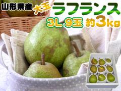 ���3L�E9�ʁE��3kg �R�`���Y�m�� �m�i�V�̏������t�����X �������� [���t�����X�R�k�R�L��]