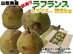 �󂠂� ���ƒ�p �R�`���Y �m�i�V�̏������t�����X L�T�C�Y�ȏ�E��5kg 10�`20�ʓ� �������� [���ƒ�p���t�����X�k�T�L��]