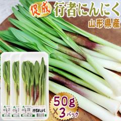 �R�`���Y ���� �R�� �s�҂ɂ�ɂ� 150g (50g�~3�p�b�N) �������� �N�[���� [�����s�҂ɂ�ɂ� 50g�~3]