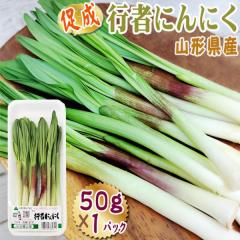 �R�`���Y ���� �R�� �s�҂ɂ�ɂ� 50g 1�p�b�N �������� �N�[���� [�����s�҂ɂ�ɂ� 50g]