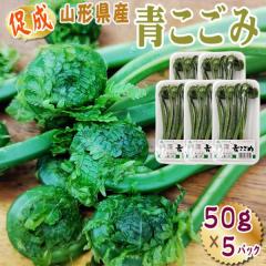 �R�`���Y ���� �R�� ������ 250g (50g�~5�p�b�N) �������� �N�[���� [���������� 50g�~5]