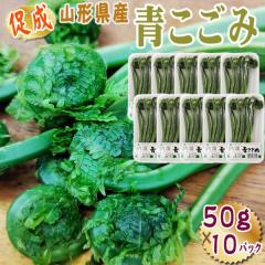 �R�`���Y ���� �R�� ������ 500g (50g�~10�p�b�N) �������� �N�[���� [���������� 50g�~10]