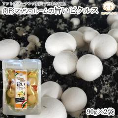 �R�`���M�`���Y �M�`�}�b�V�����[���̎|���s�N���X [�}�b�V�����[���̃s�N���X�~2�� BS] NP ���� ���[����