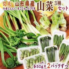 �R�`���Y ���� �R�� 3��Z�b�g �s�҂ɂ񂢂� ������ ����̉� 3��e50g�~2�p�b�N���� ���v6�p�b�N �������� �N�[���� [�����R�؃Z�b�g 