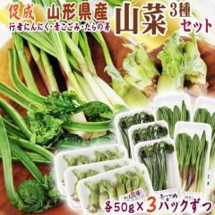 �R�`���Y ���� �R�� 3��Z�b�g �s�҂ɂ񂢂� ������ ����̉� 3��e50g�~3�p�b�N���� ���v9�p�b�N �������� �N�[���� [�����R�؃Z�b�g 