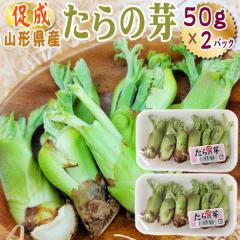 �R�`���Y ���� �R�� ����̉� 100g (50g�~2�p�b�N) �������� �N�[���� [��������̉� 50g�~2]