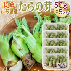 �R�`���Y ���� �R�� ����̉� 250g (50g�~5�p�b�N) �������� �N�[���� [��������̉� 50g�~5]