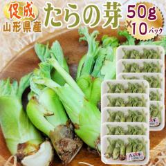 �R�`���Y ���� �R�� ����̉� 500g (50g�~10�p�b�N) �������� �N�[���� [��������̉� 50g�~10]