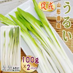 �R�`���Y ���� �R�� ���邢 200g (100g�~2�p�b�N) �������� �N�[���� [�������邢 100g�~2]