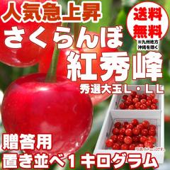 �\��̔� 6�����{��菇������ �������� �g�G�� �G�i �u������ L�ELL 1kg �R�`���Y [������ �g�G�� �u�� 1kg]�`���h�ցi�N�[����