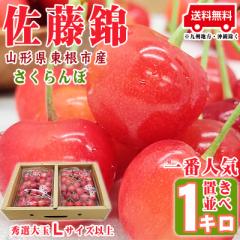 �\��̔� 6����{��菇������ �������� ������ L�T�C�Y�ȏ� 1kg �G�I �R�`���Y [������ ������ �u�� 1kg] �`���h�ցi�N�[���ցj