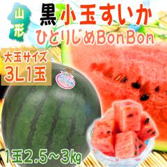 �\��̔� �������� �R�`���Y �����ʂ����� �ЂƂ肶�� BonBon ���3L�~1��(2.5�`3kg) [�ЂƂ肶��BonBon3L1��] 7�����{���珇������
