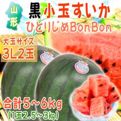 �\��̔� �������� �R�`���Y �����ʂ����� �ЂƂ肶�� BonBon ���3L�~2��(���v5�`6kg) [�ЂƂ肶��BonBon3L2��] 7�����{���珇������